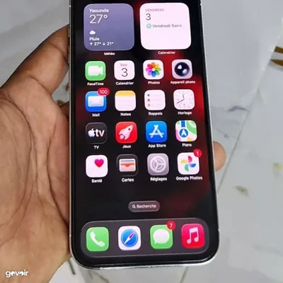 iPhone 13 Pro Max